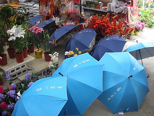 請用雨傘  — 藍山園藝的小貼心