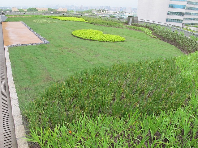 綠屋頂的施作流程 — 工研院51館國際會議廳綠屋頂