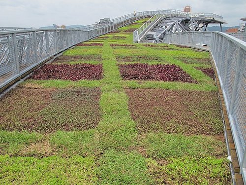 高雄市11/15   城市美學新風貌—綠屋頂暨立體綠化技術研討會