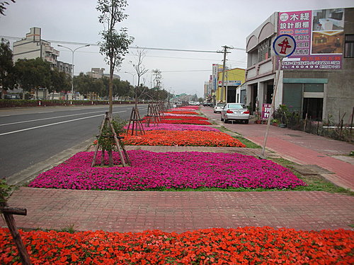 砍樹堆砌的繽紛城市？