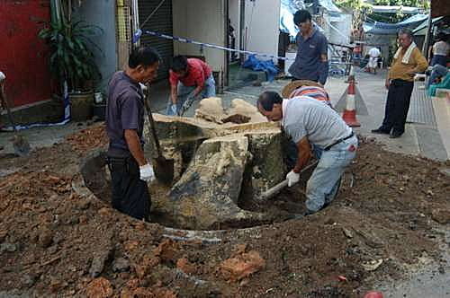 香港百年老樹蟲蛀空心坍塌一死兩傷