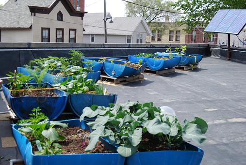 都市農園、屋頂菜園   —  報導蒐集