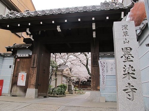 墨染寺尋訪墨染櫻 — 京都大阪賞櫻自助旅行 -6