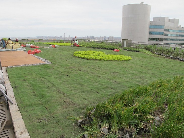 幫房子戴”綠帽” 對抗都市熱島效應 – 綠屋頂