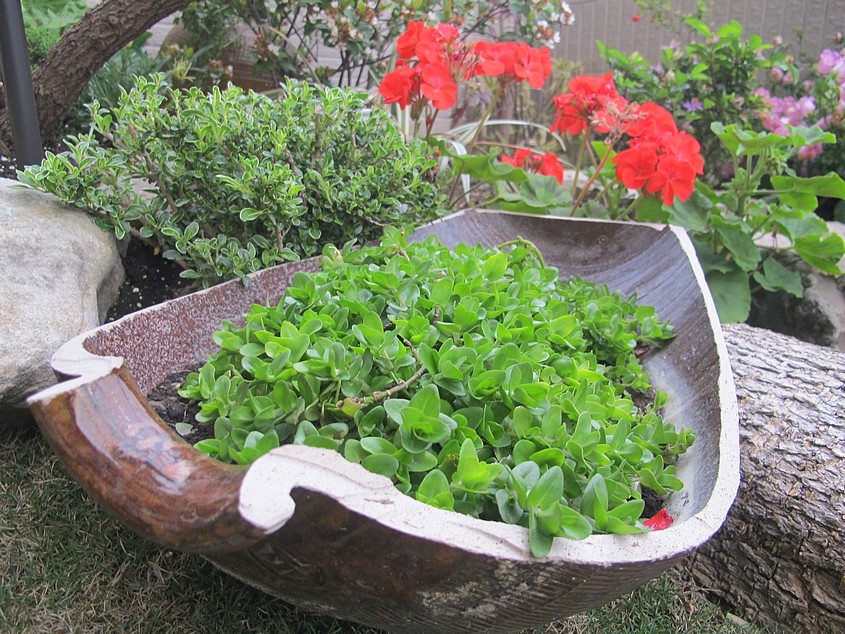 盡享親子玩樂趣味的屋頂花園