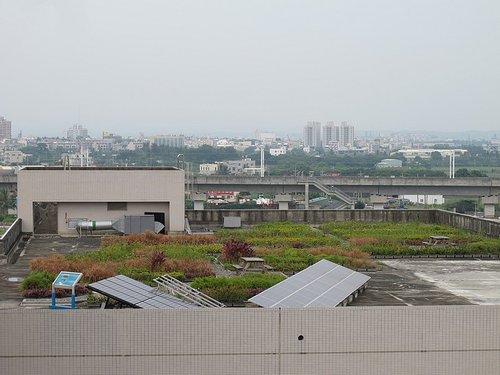 自由組合的盆缽式綠屋頂 — 台達電南科廠綠屋頂施工