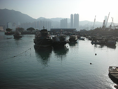 香港旅遊–吃在香港  -4-  鯉魚門海鮮美食村