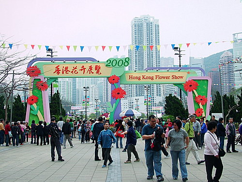 要去香港看花展了！