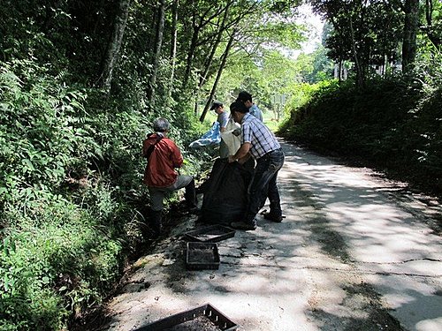 觀霧山椒魚棲地營造工作假期 -2- 腐葉帶來的澎拜生命