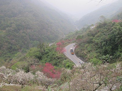 飄雪的合歡山