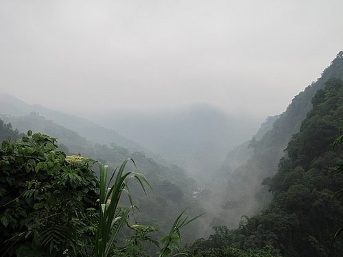 雪見原鄉—環境教育