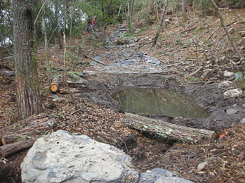 觀霧山椒魚棲地營造工作假期 -1-  從發想到種下生命的希望