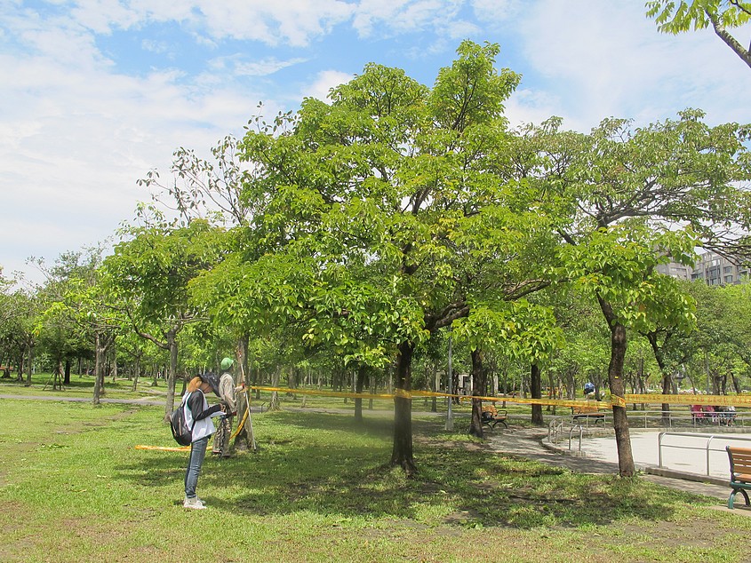 2014基地開發的樹木保護國際研討會，11/20(四)