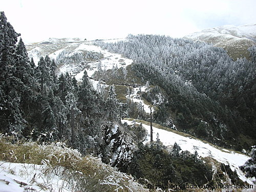 台灣唯一的滑雪道 — 合歡山