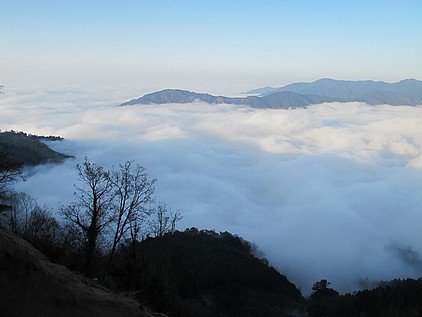 觀霧的雲