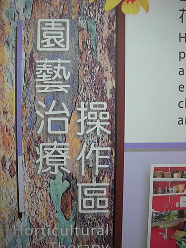 2008 香港花展  3  —   園藝治療的操作