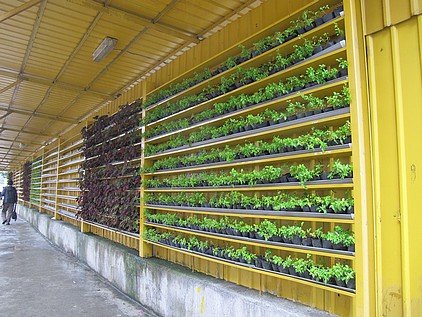 失敗的綠牆案例 -2- 拆除重作的植生綠牆